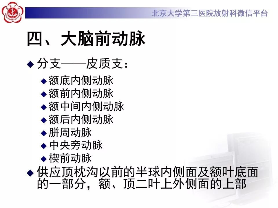 【PPT】脑动脉解剖及供血区分布