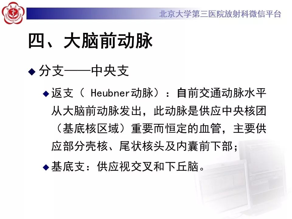 【PPT】脑动脉解剖及供血区分布