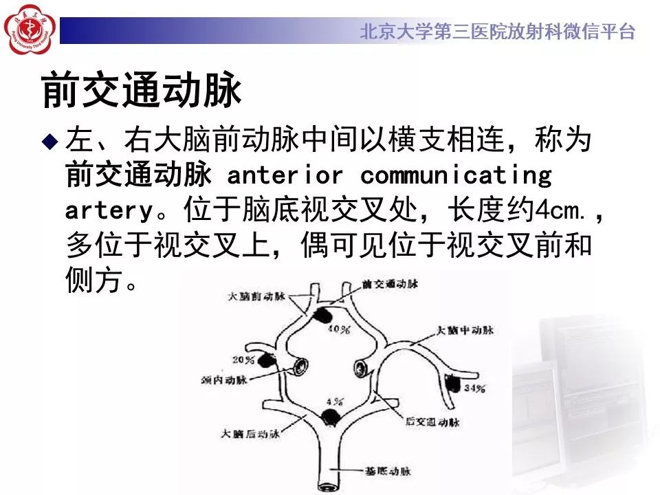 【PPT】脑动脉解剖及供血区分布