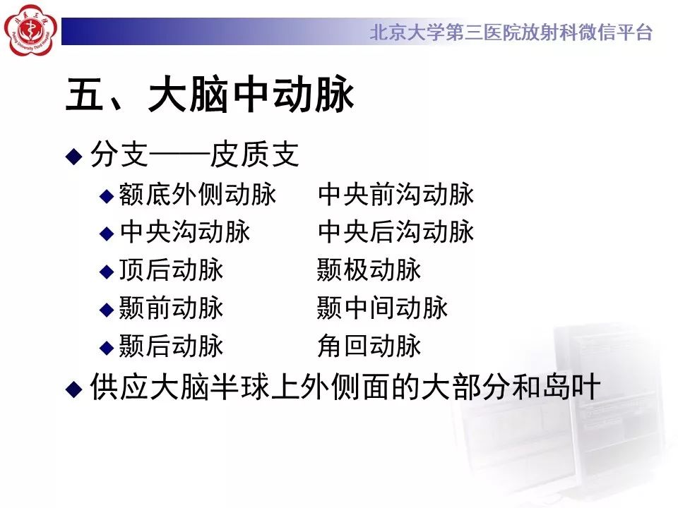 【PPT】脑动脉解剖及供血区分布