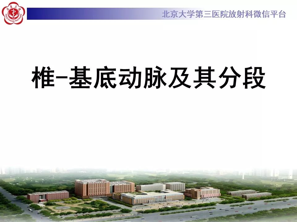 【PPT】脑动脉解剖及供血区分布