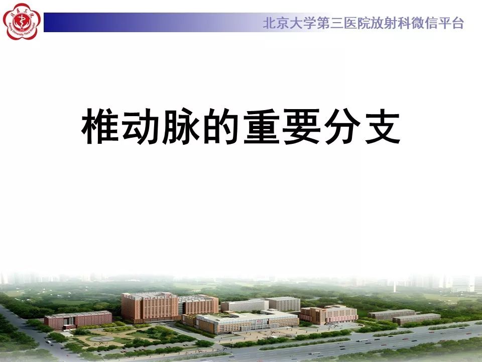 【PPT】脑动脉解剖及供血区分布