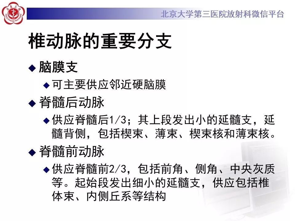 【PPT】脑动脉解剖及供血区分布