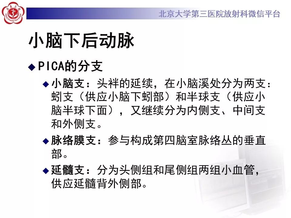 【PPT】脑动脉解剖及供血区分布