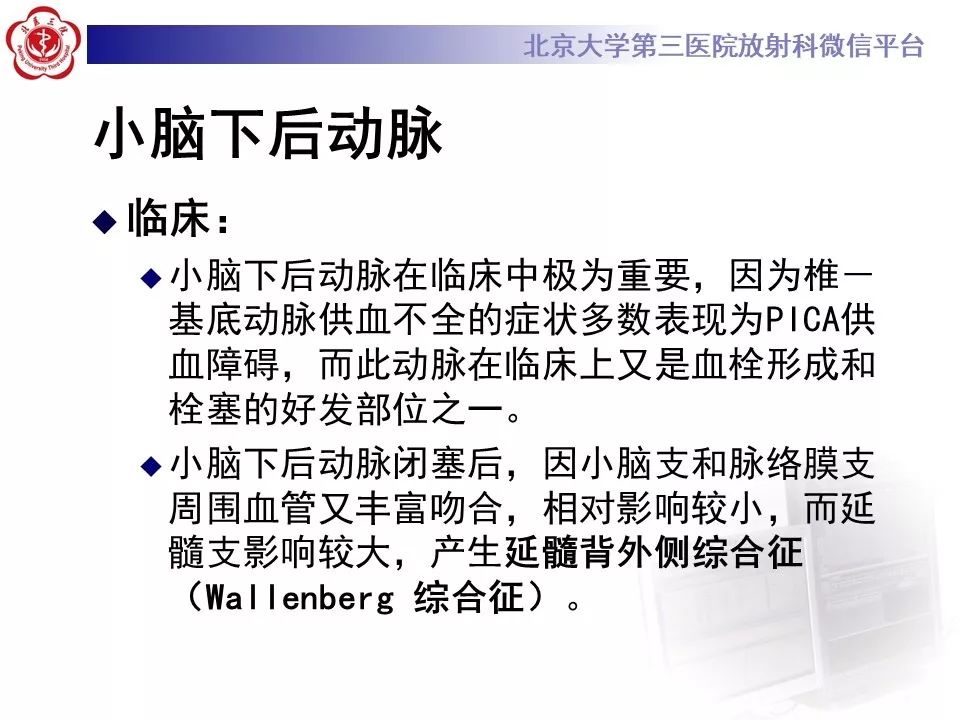 【PPT】脑动脉解剖及供血区分布