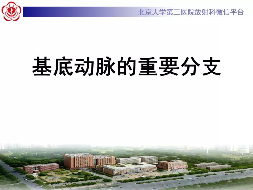 【PPT】脑动脉解剖及供血区分布