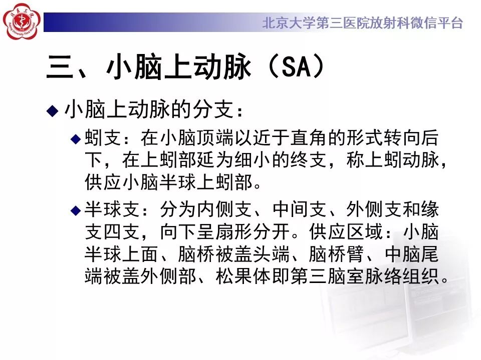 【PPT】脑动脉解剖及供血区分布