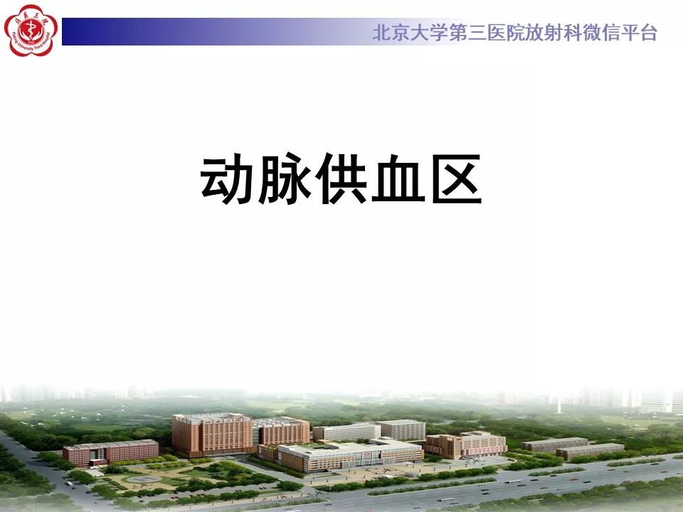 【PPT】脑动脉解剖及供血区分布