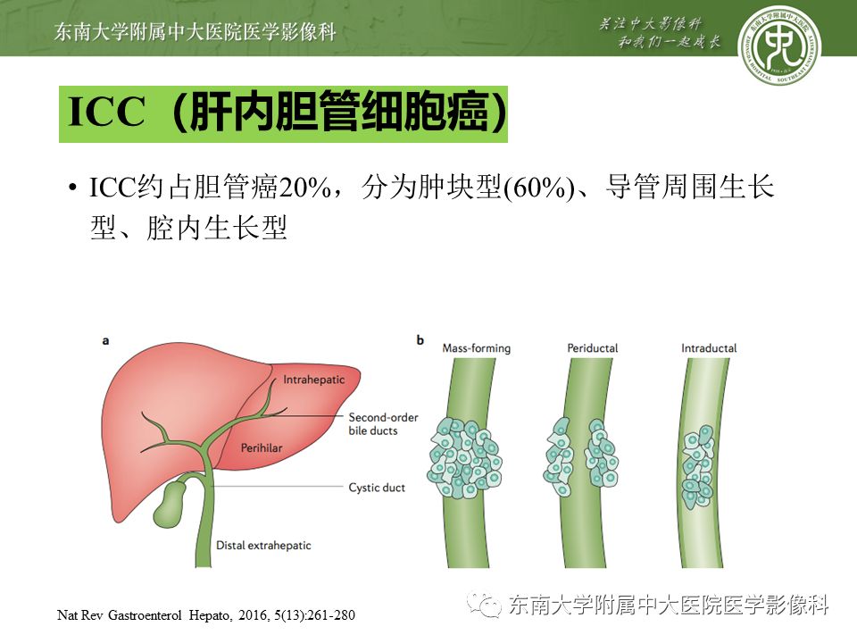 【PPT】肝占位性病变(3例)影像随访