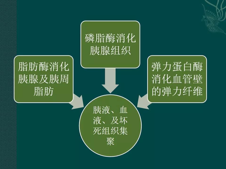 【PPT】胰腺假性囊肿