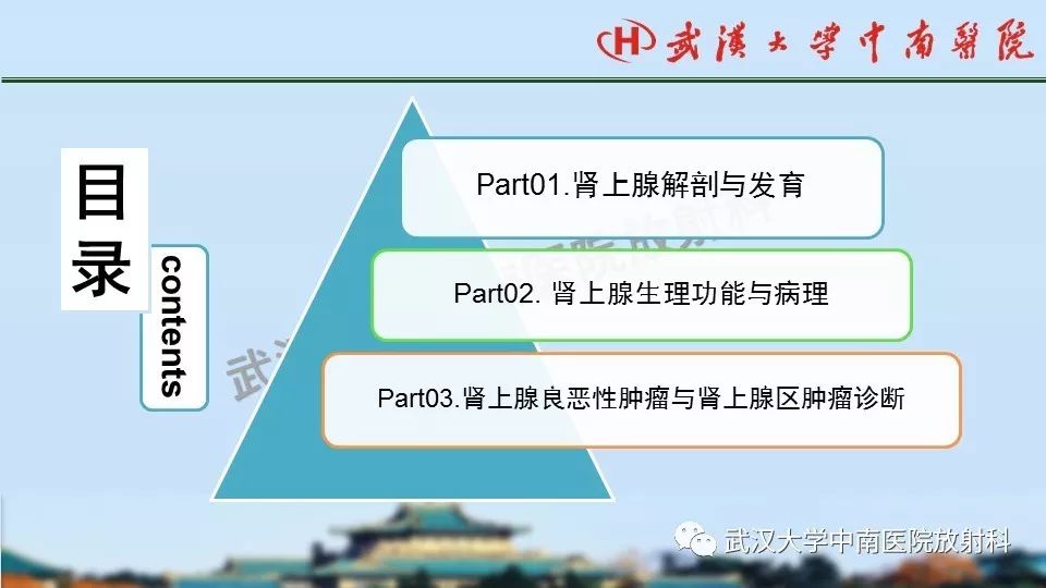 【PPT】肾上腺形态、功能及良恶性肿瘤CT影像诊断