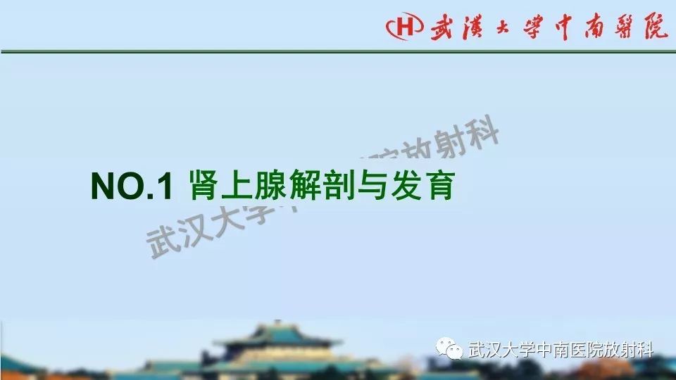 【PPT】肾上腺形态、功能及良恶性肿瘤CT影像诊断
