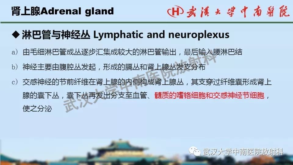 【PPT】肾上腺形态、功能及良恶性肿瘤CT影像诊断