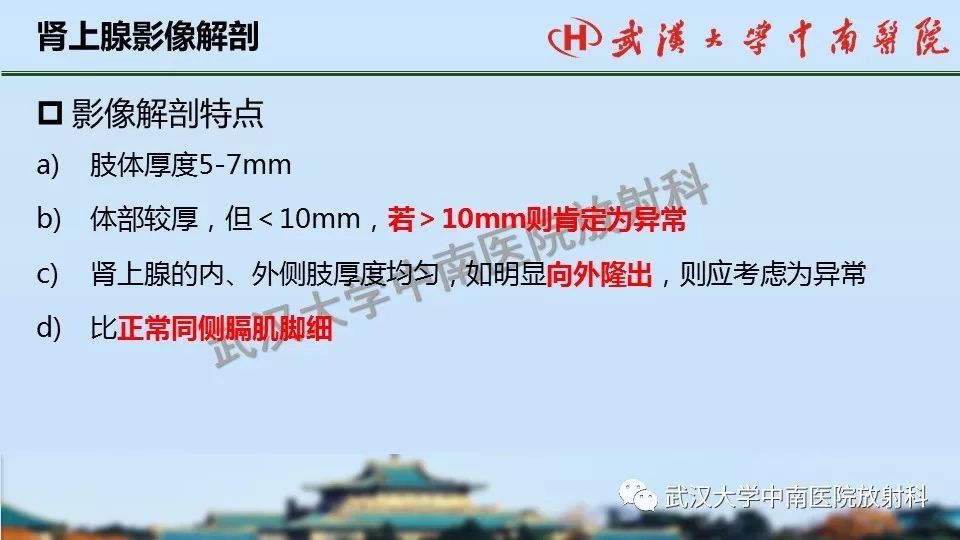 【PPT】肾上腺形态、功能及良恶性肿瘤CT影像诊断