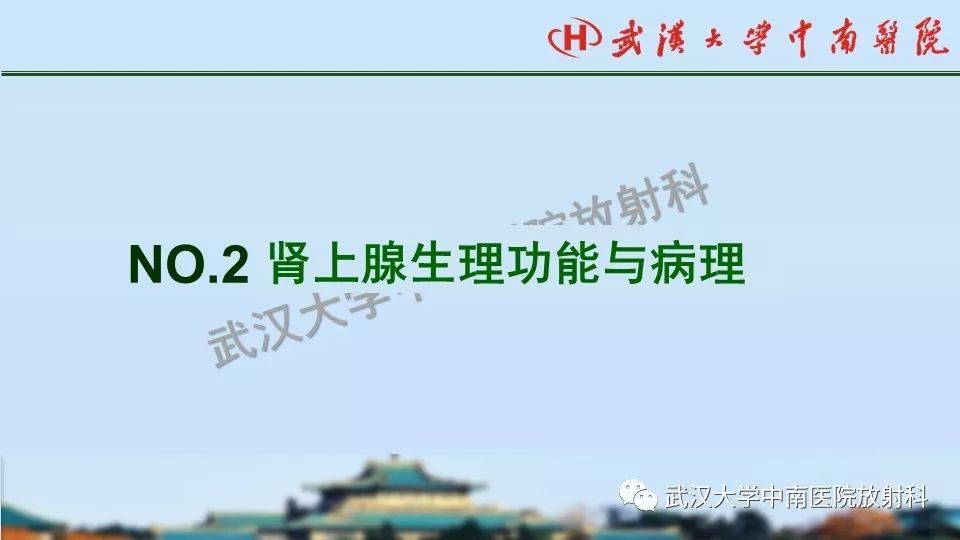【PPT】肾上腺形态、功能及良恶性肿瘤CT影像诊断
