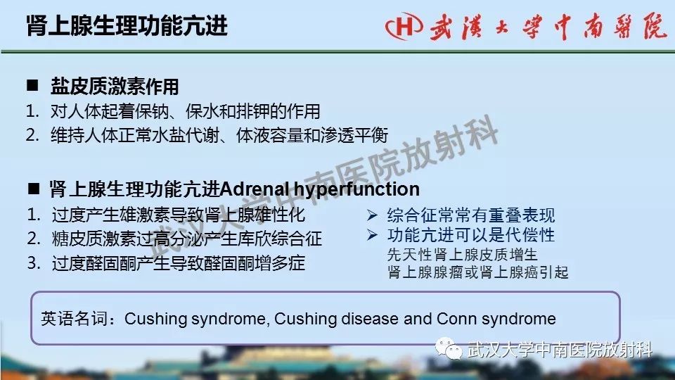 【PPT】肾上腺形态、功能及良恶性肿瘤CT影像诊断