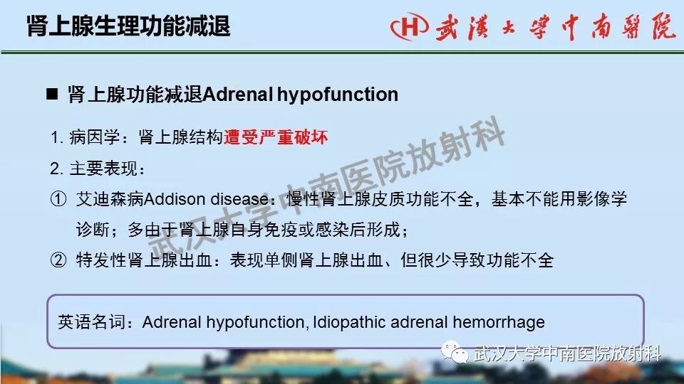 【PPT】肾上腺形态、功能及良恶性肿瘤CT影像诊断
