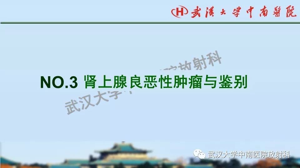 【PPT】肾上腺形态、功能及良恶性肿瘤CT影像诊断