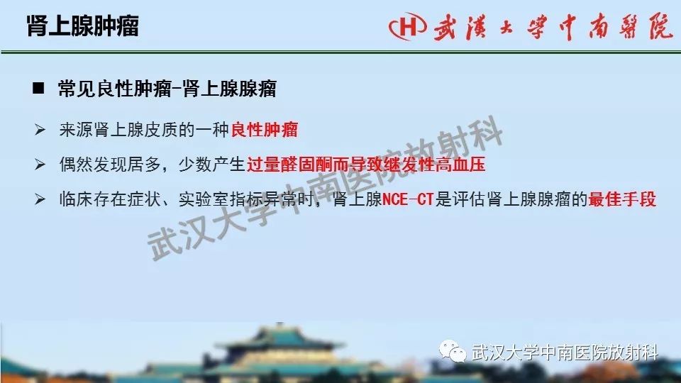 【PPT】肾上腺形态、功能及良恶性肿瘤CT影像诊断