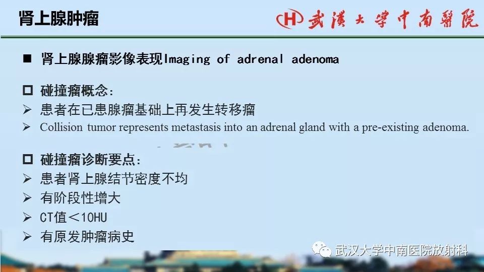 【PPT】肾上腺形态、功能及良恶性肿瘤CT影像诊断