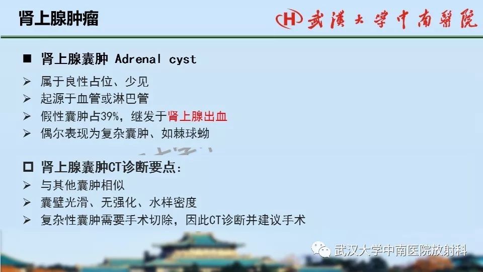 【PPT】肾上腺形态、功能及良恶性肿瘤CT影像诊断