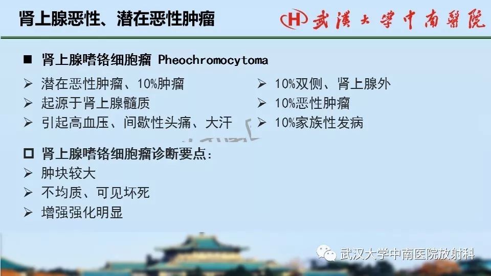 【PPT】肾上腺形态、功能及良恶性肿瘤CT影像诊断