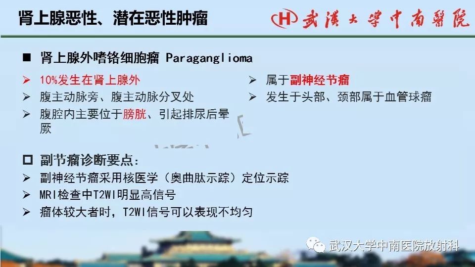 【PPT】肾上腺形态、功能及良恶性肿瘤CT影像诊断