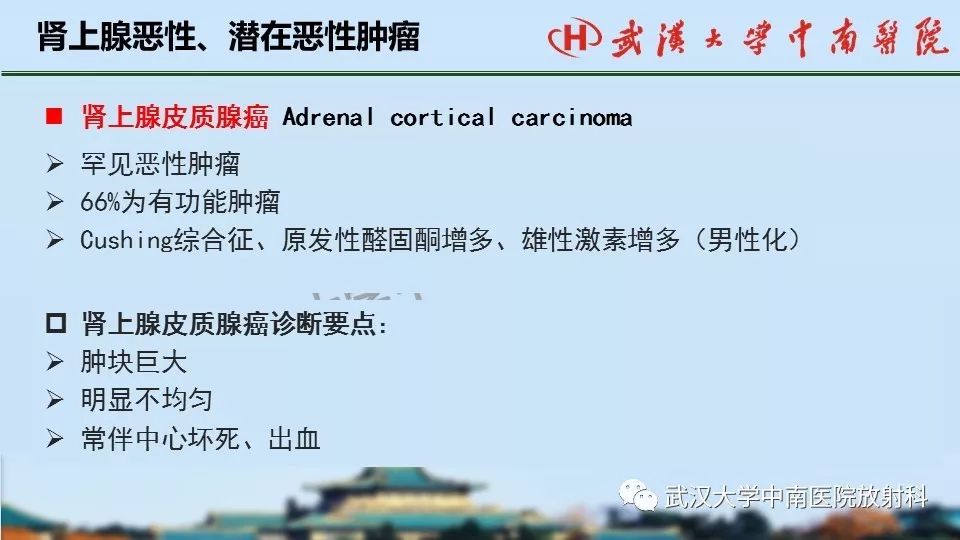 【PPT】肾上腺形态、功能及良恶性肿瘤CT影像诊断