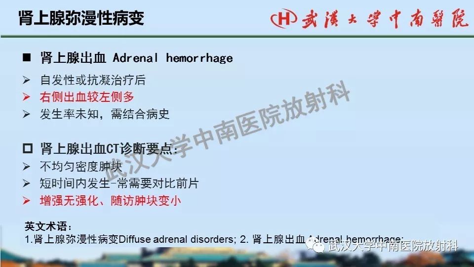 【PPT】肾上腺形态、功能及良恶性肿瘤CT影像诊断