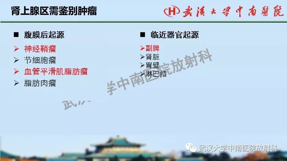 【PPT】肾上腺形态、功能及良恶性肿瘤CT影像诊断
