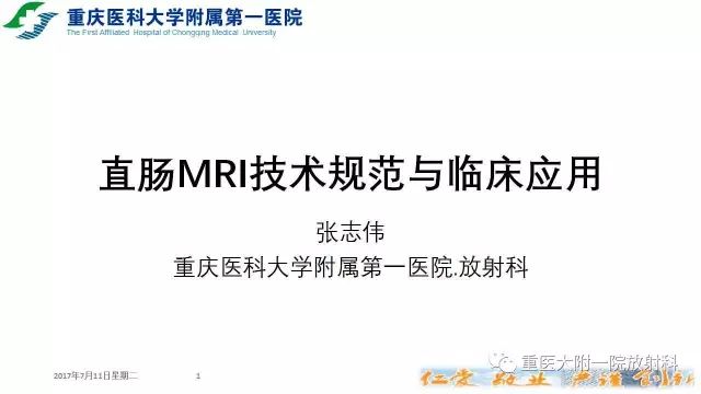 自动草稿