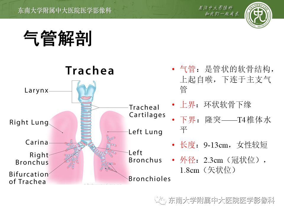 【病例】复发性多软骨炎1例CT影像