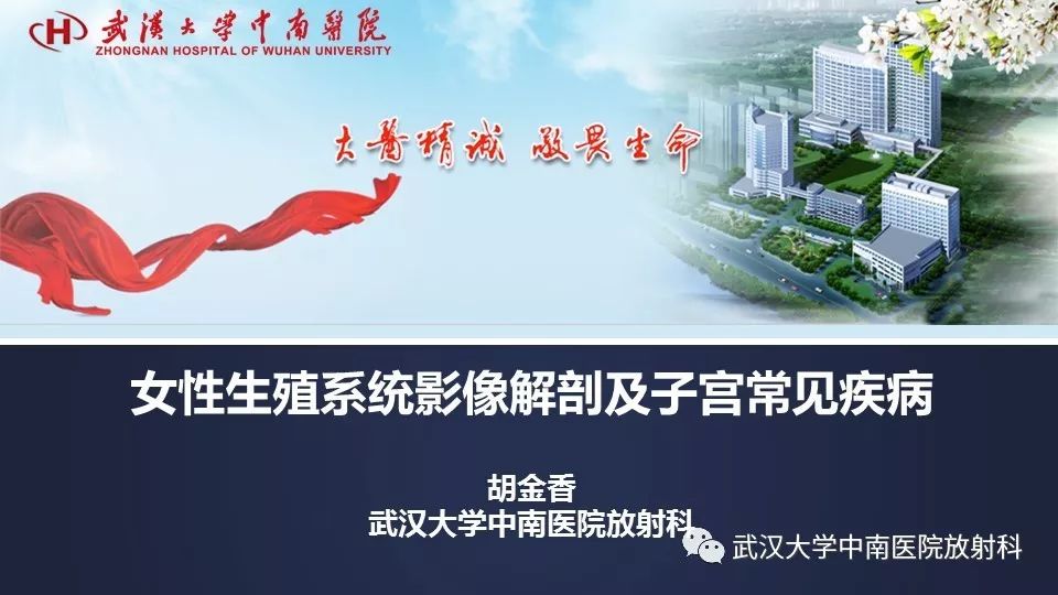 【PPT】女性生殖系统影像解剖及子宫常见疾病