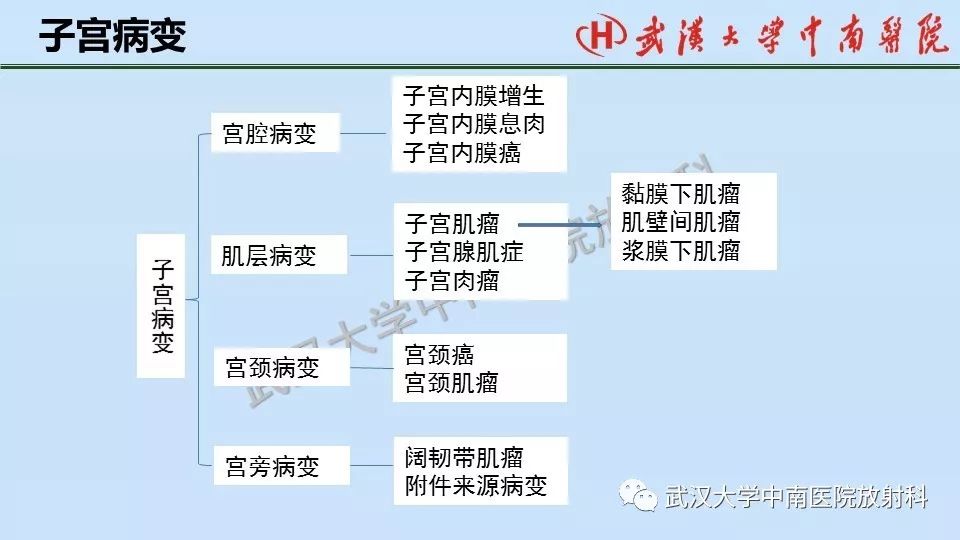 【PPT】女性生殖系统影像解剖及子宫常见疾病