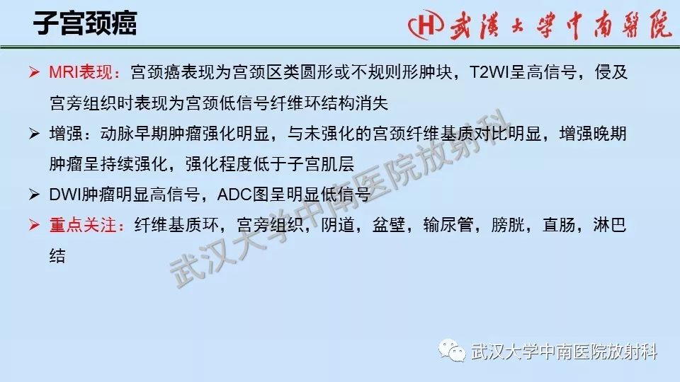 【PPT】女性生殖系统影像解剖及子宫常见疾病