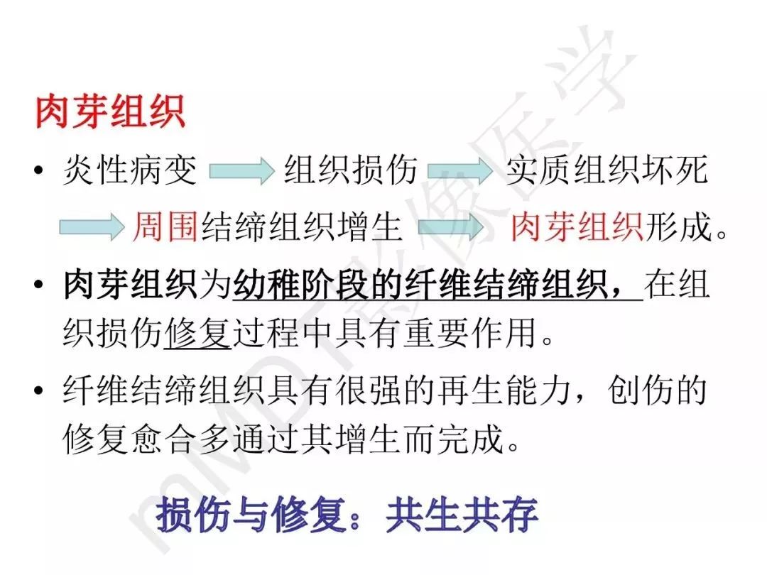 【PPT】纤维组织在肝脏炎性病变MR诊断中的价值