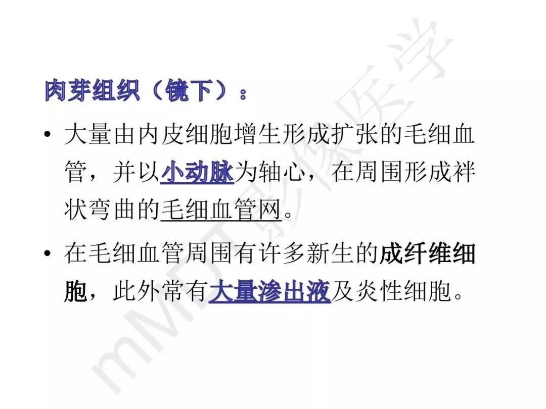 【PPT】纤维组织在肝脏炎性病变MR诊断中的价值