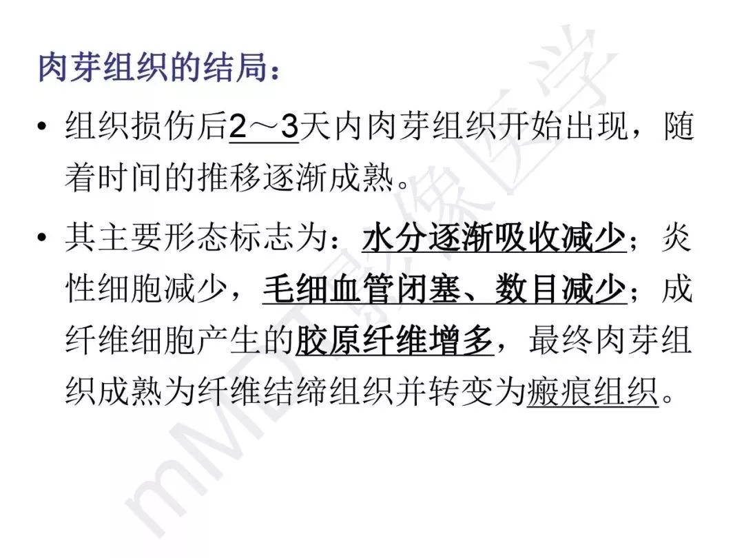 【PPT】纤维组织在肝脏炎性病变MR诊断中的价值