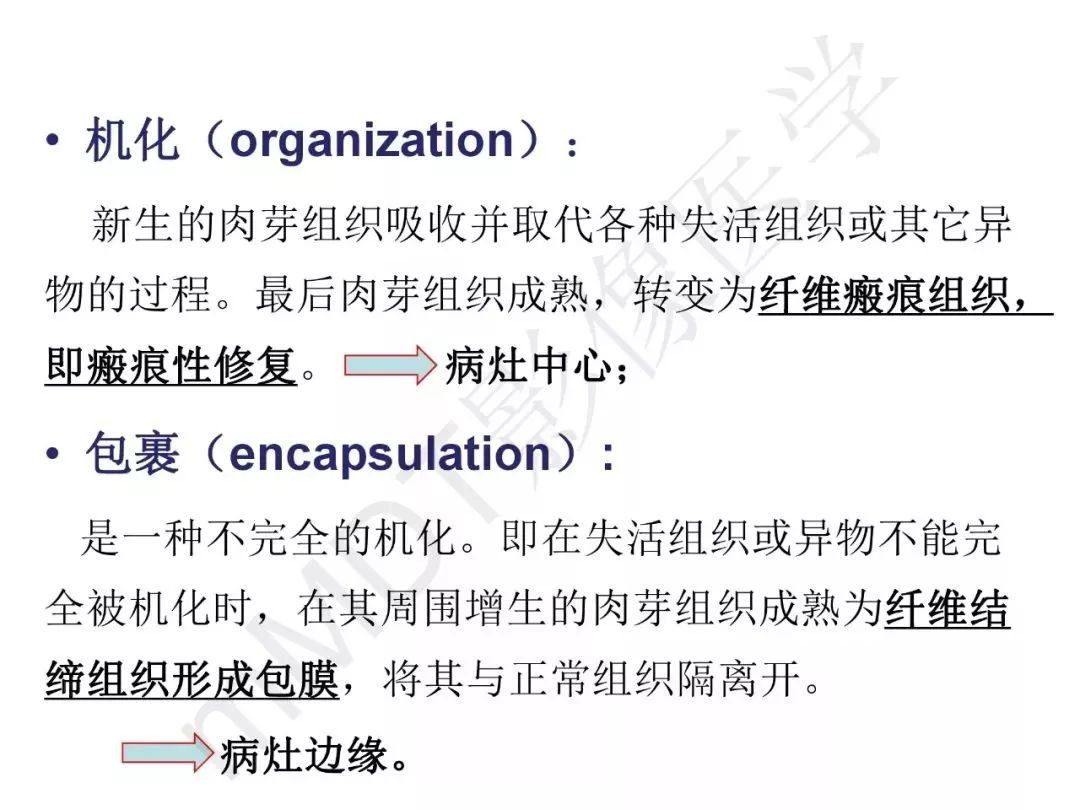 【PPT】纤维组织在肝脏炎性病变MR诊断中的价值