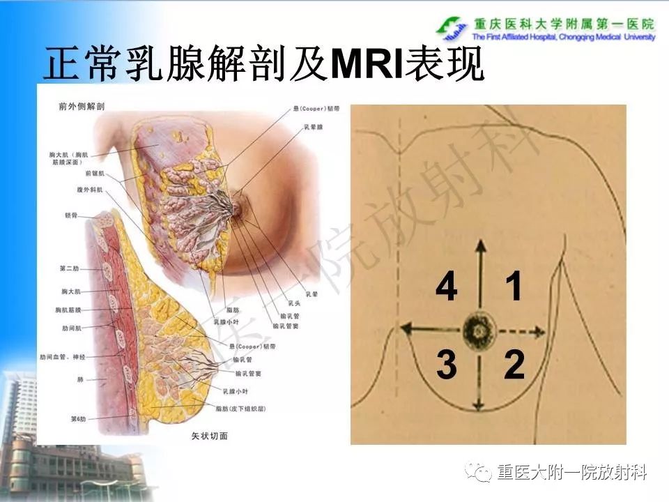 自动草稿