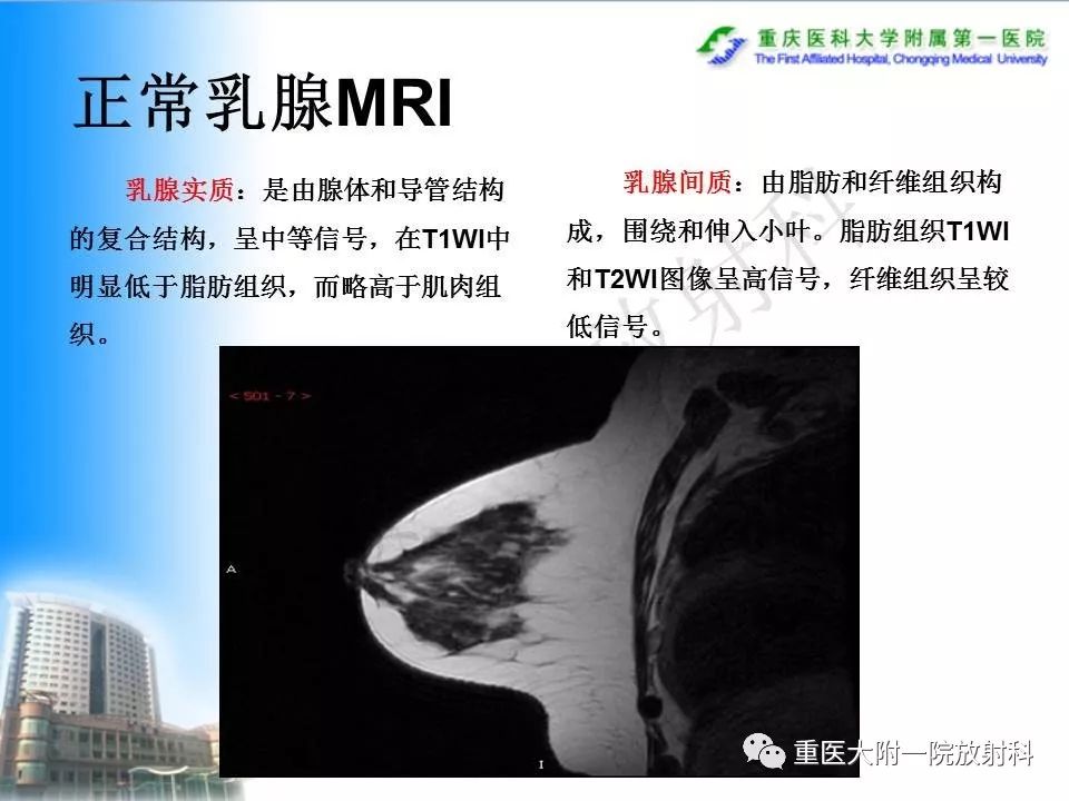 自动草稿
