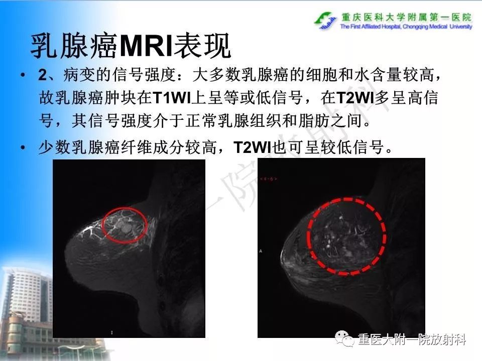 自动草稿