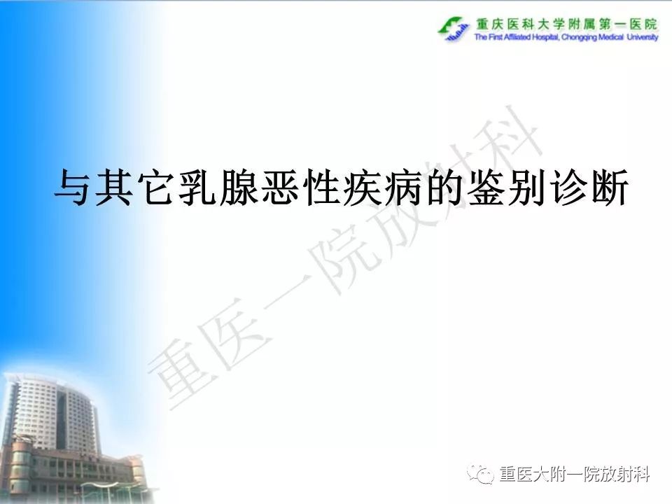 自动草稿