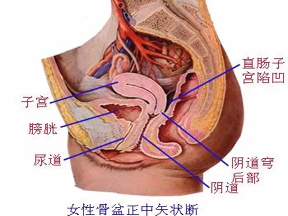 【PPT】子宫常见肿瘤的MRI表现