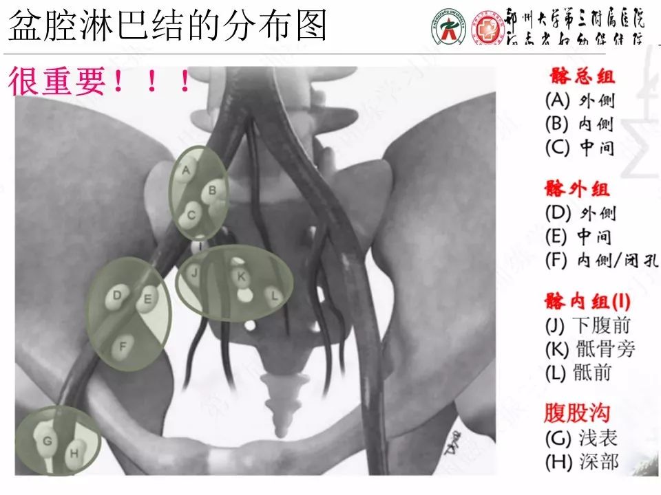 【PPT】子宫常见肿瘤的MRI表现
