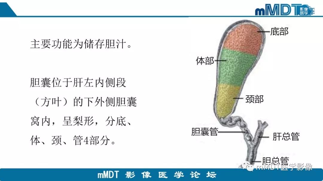 【PPT】黄色肉芽肿性胆囊炎与厚壁型胆囊癌的影像表现及鉴别要点