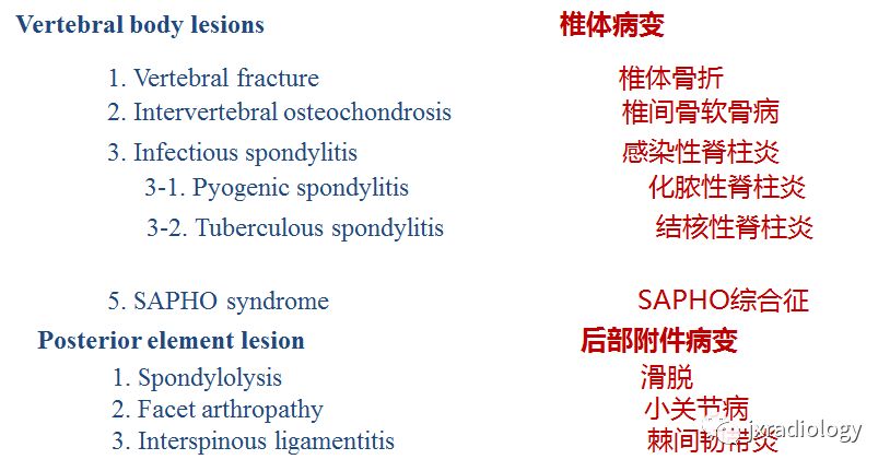 椎体和椎旁信号增高的非肿瘤性病变