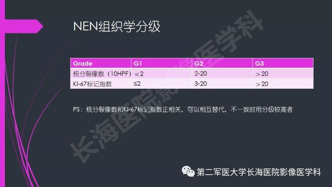【PPT】肠道神经内分泌肿瘤