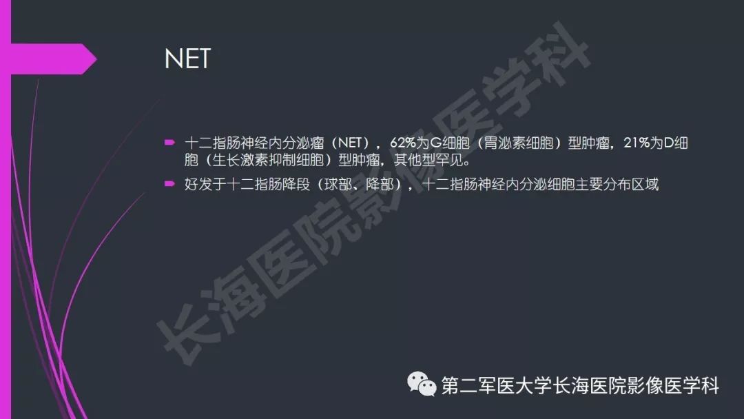 【PPT】肠道神经内分泌肿瘤