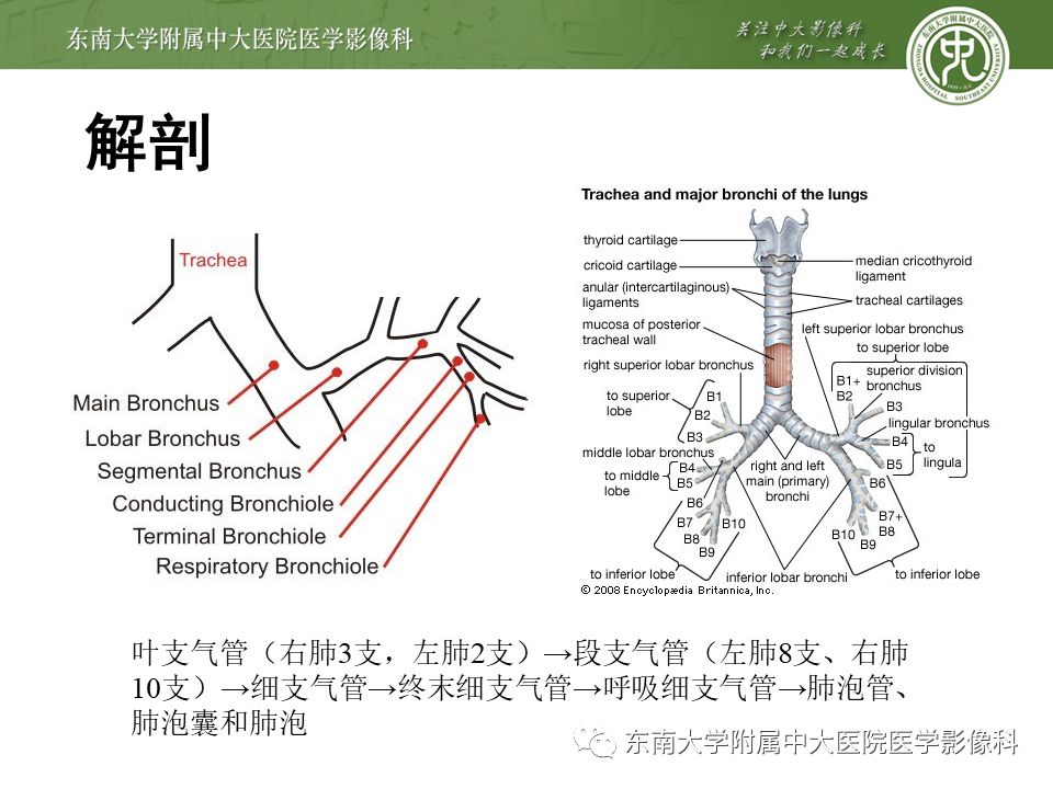 【病例】先天性支气管闭锁2例CT影像